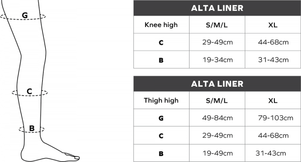 Alta Liner - Image 2
